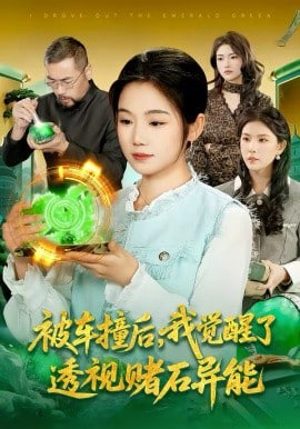 被車撞后，我覺醒了透視賭石異能了